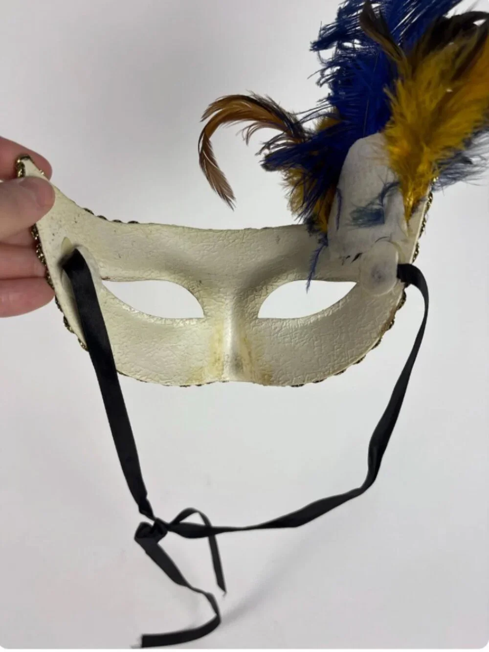 Vintage Mardi Gras Feather Mask | Hand Painted Paper Mâché Masquerade Mask
